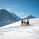 Derby Swiss Quality 3*