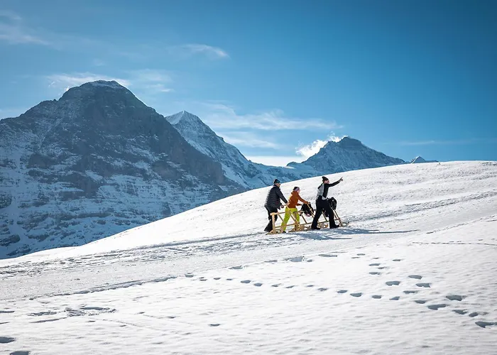 Derby Swiss Quality 3*